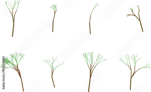 Collection of bare and leafy tree branches