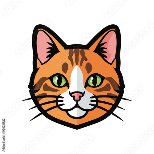 A cute orange cat face with green eyes