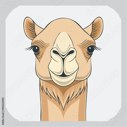 Vector illustration of a camel's face with expressive eyes and detailed features