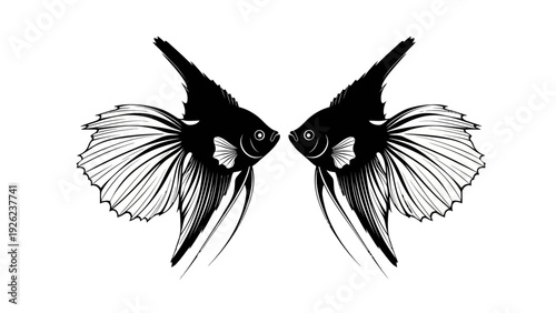 Two black angelfish facing each other, black and white illustration, elegant aquatic life