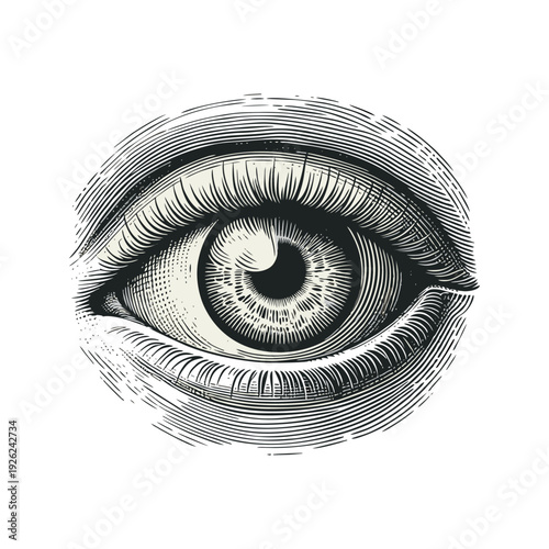 Detailed Human Eye Engraving Illustration in Vintage Woodcut Style