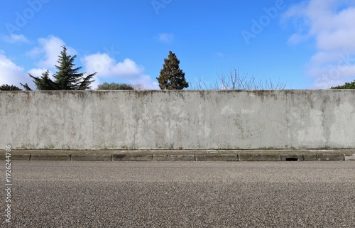 Wallpaper Mural Rough concrete wall with trees and blue cloudy sky on behind. Sidewalk and street in front. Background for copy space. Torontodigital.ca
