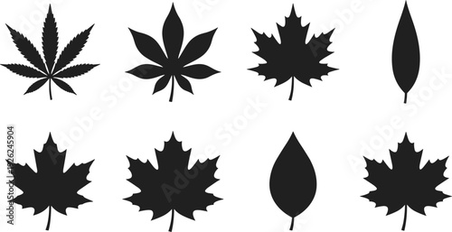 Leaf silhouette set vector illustration, black maple cannabis palmate autumn foliage shapes for nature botanical fall decor and graphic