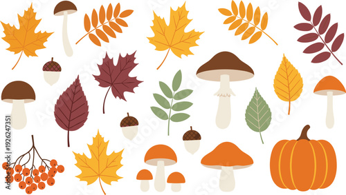 Large autumn nature collection vector set featuring colorful fall leaves orange pumpkin forest mushrooms acorns and berries isolated on white for Thanksgiving and seasonal design.