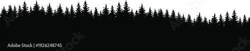 Dense pine forest silhouette border, evergreen tree line panorama isolated on white background, black woodland landscape vector illustration
