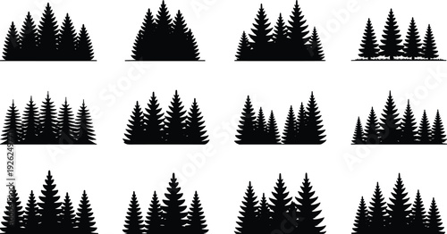 Evergreen pine tree silhouette set, conifer forest clusters isolated on white background, black woodland landscape vector illustration