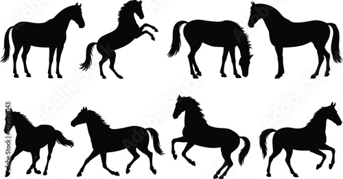 Black horse silhouette collection set, standing rearing grazing running stallion poses, isolated vector illustration for logo branding tattoo equestrian design