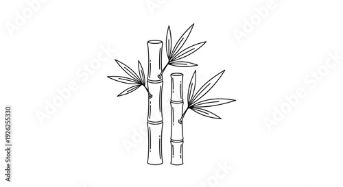 Hand-drawn black and white illustration of bamboo stalks with delicate leaves representing tranquility, nature, and oriental style.