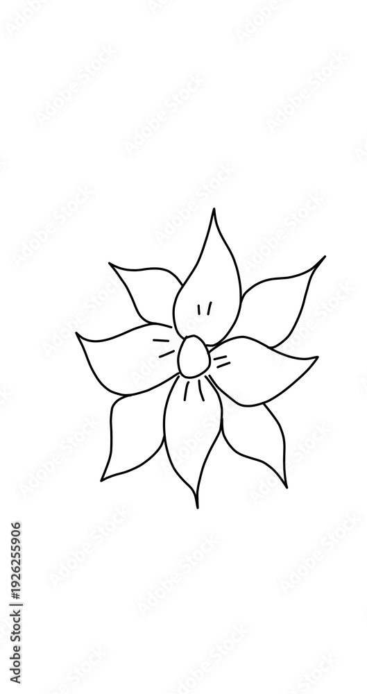 Fototapeta premium Flor blanco y negro 03