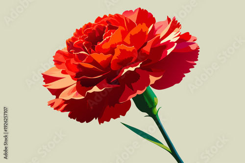 Vibrant red carnation in full bloom with detailed petals on a soft beige background capturing nature's beauty