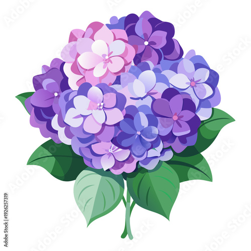 Vibrant bouquet of purple and pink hydrangeas with green leaves displayed on a clean white background