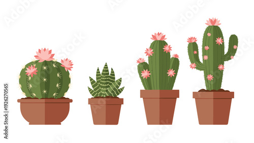 Various potted cactus and succulent plants with beautiful pink flowers are shown in a clean and simple botanical illustration set.