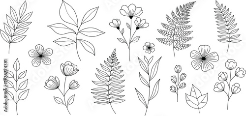 Collection of various botanical illustrations featuring flowers, leaves, and ferns displayed in a visually appealing arrangement.