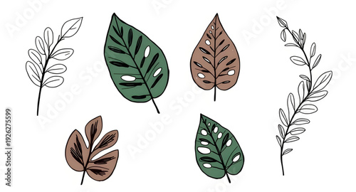 leaf, leaves, foliage, botanical, plant, nature, vector, illustration, collection, set, greenery, green, eco, natural, organic, garden, forest, flora, botany, decorative, design, graphic, clipart, ico