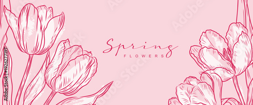 Floral background with tulips. Spring hand rawn vector flowers for greeting card, banner, poster, and design for March 8, Easter, Women's Day and Mother's Day