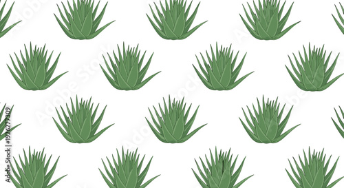 Natural seamless pattern of green aloe vera plants with sharp pointed leaves arranged in a grid on a white background, ideal for skincare themes.