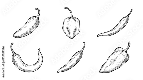 chili peppers , 6 black delicate line drawings vector set collection , white background , PNG and SVG	