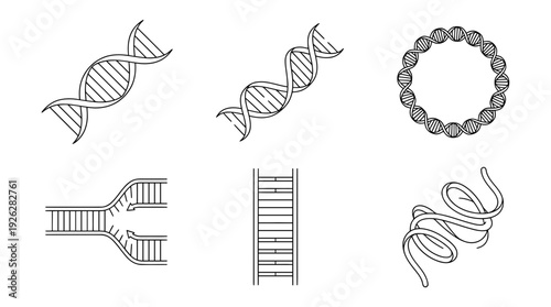 dna helix , 6 black delicate line drawings vector set collection , white background , PNG and SVG	