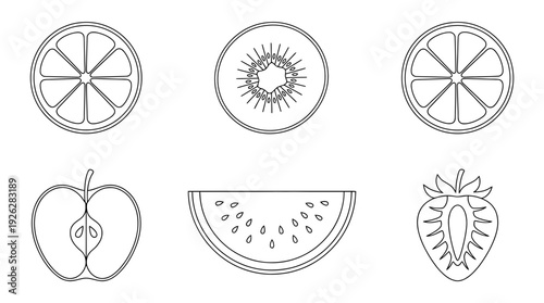 fruit slices , 6 black delicate line drawings vector set collection , white background , PNG and SVG	