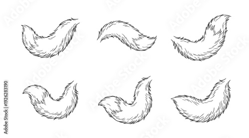 fox tails , 6 black delicate line drawings vector set collection , white background , PNG and SVG	