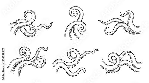 octopus tentacles , 6 black delicate line drawings vector set collection , white background , PNG and SVG	