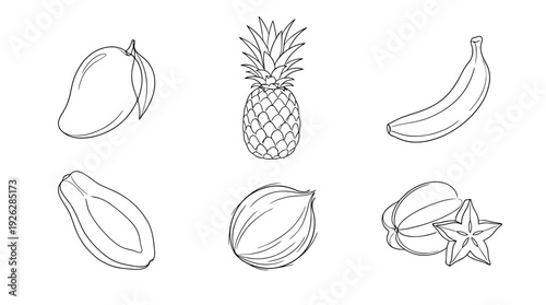 tropical fruits , 6 black delicate line drawings vector set collection , white background , PNG and SVG	