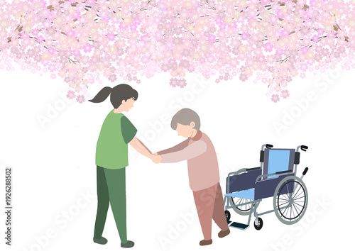 満開の桜の木の下で車椅子の老人が介護士と歩行練習をしているカラーイラスト