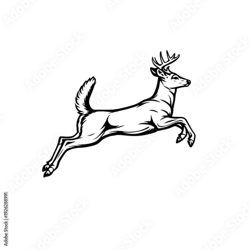 Vector line art illustration of Deer Running.