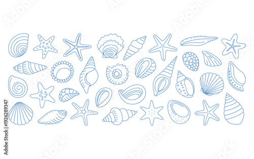 Assorted Seashells and Starfish Line Art Pattern Simple Blue Outline White Background