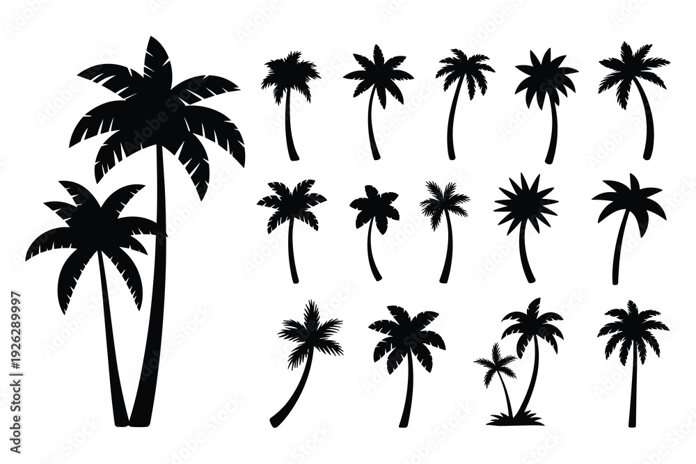 Obraz premium Collection of Black Palm Tree Silhouettes on White Background tropical nature