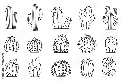 Fifteen outline drawings of diverse cactus and succulent plant species illustration