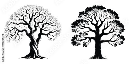 Two detailed black and white trees one bare and one with foliage on white Keywords: tree, bare tree, deciduous tree, silhouette
