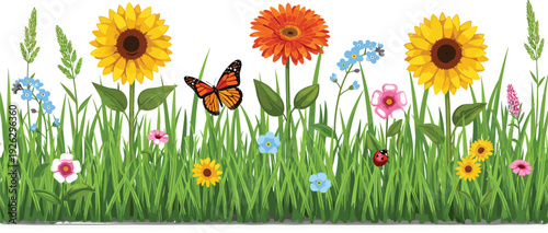 Spring meadow floral border vector featuring sunflowers orange daisies blue forget-me-nots and pink flowers in green grass with monarch butterfly and ladybug for garden nature background.