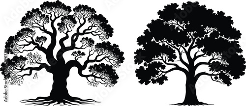 Two detailed black silhouette trees one bare and one with dense foliage on white Keywords: tree, silhouette, black, white