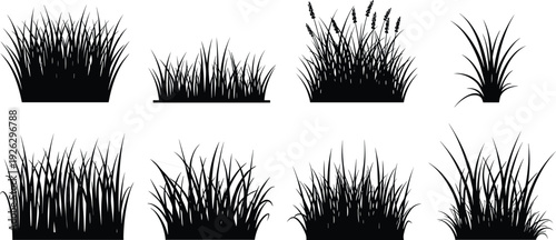 Black grass silhouettes collection isolated on white background, meadow lawn plants set for landscape design, flat vector illustration