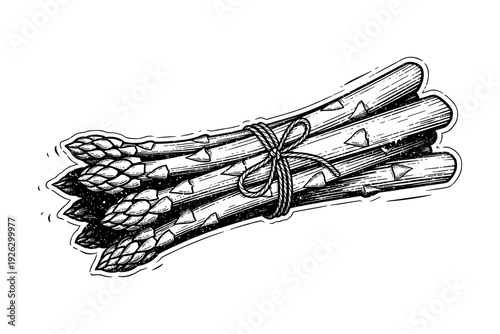 Hand drawn asparagus bundle with retro detail and bow tie