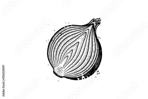 Intricate black and white engraving of fresh onion with textured details