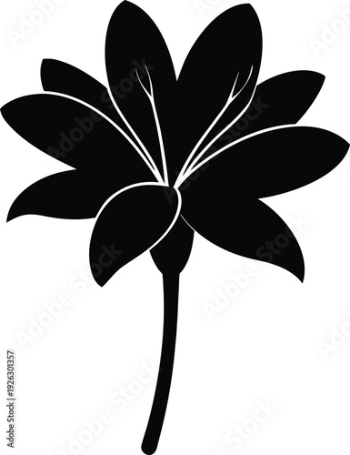 Clivia silhouette vector art Illustration