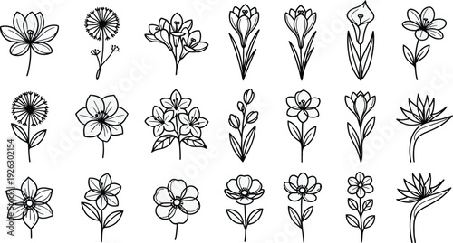 Floral line art icon collection. Includes 20 flower icons. Created in line style with black and white palette.