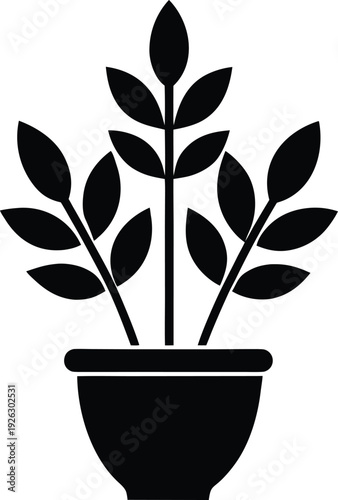 Curry Plant silhouette vector art Illustration