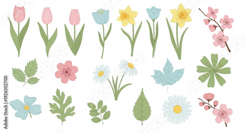Collection of delicate spring floral elements and botanical illustrations featuring pink tulips blue hyacinths yellow daffodils cherry blossoms daisies and green leaves