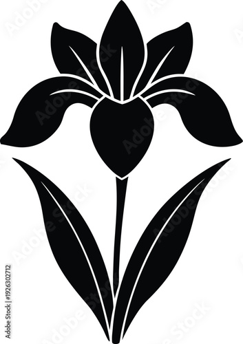 Dutch Iris silhouette vector art Illustration