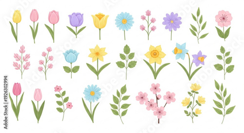 Vibrant collection of diverse spring floral elements and botanical illustrations featuring tulips daffodils daisies and cherry blossoms in a cheerful flat design style