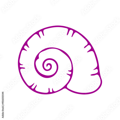 Purple Spiral Seashell Illustration