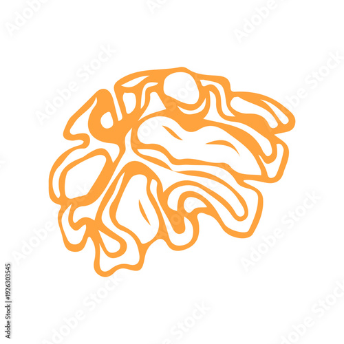 Orange Walnut Kernel Illustration
