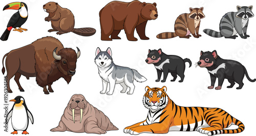 Large collection of realistic wild animal vector illustrations featuring tiger, grizzly bear, bison, walrus, husky, raccoon, beaver, tasmanian devil, penguin, and toucan isolated on white background.