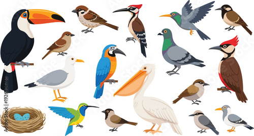 Large vector collection of different bird species including toucan parrot pelican hummingbird and seagull with a bird nest isolated on white background for nature designs.