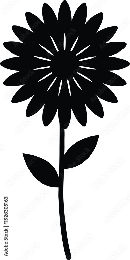 Fototapeta premium Everlasting Flower silhouette vector art Illustration