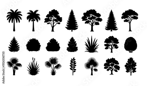 Wallpaper Mural Botanical tree and plant black silhouettes vector collection with palm pine and shrub shapes isolated on white Torontodigital.ca