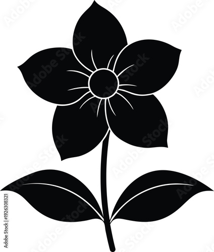 Hellebore silhouette vector art Illustration